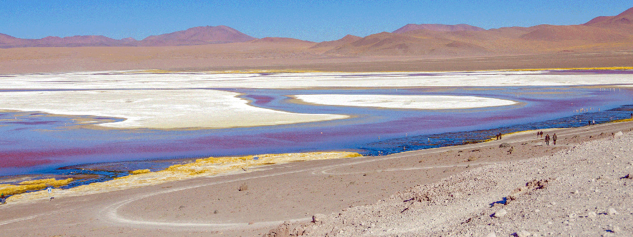 /resource/Images/southamerica/bolivia/headerimage/Laguna-Colorada,-Reserva-Nacional-de-Fauna-Andina-Eduardo-Avaroa-Bolivia.jpg