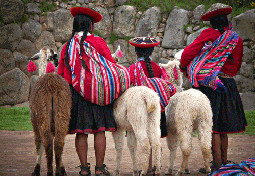 Peruvian Girls and Alpacas at Sacsayhuaman