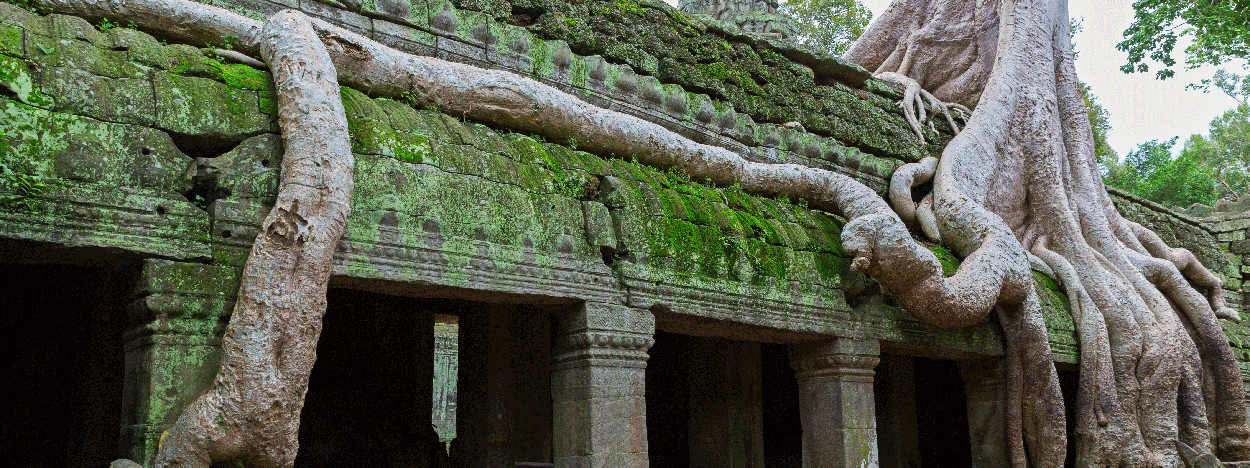 /resource/Images/Indochina/cambodia/headerimage/Jungle-covered-Temple-of-Ta.jpg