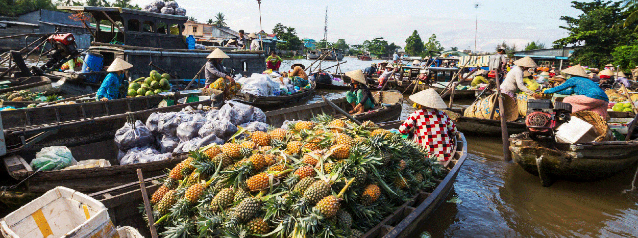 /resource/Images/Indochina/headerimage/Fruit-Boat-Mekong-delta.jpg