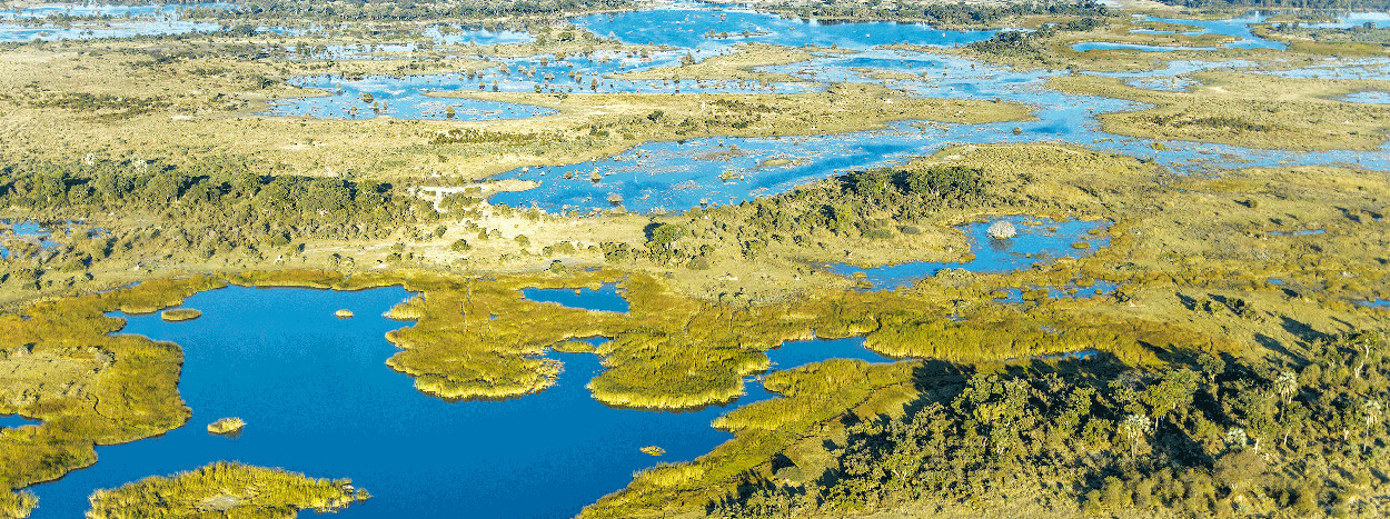 /resource/Images/africa/botswana/headerimage/Okavango-Delta-botswana.jpg