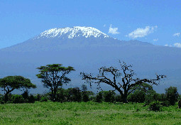  Mount Kenya National Park 