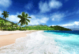 mahe island beach at Seychelles