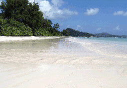  Praslin island seychelles 