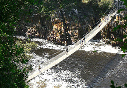  Tsitsikamma Suspension Bridge 