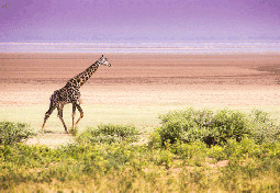  Tanzania holidays packages 