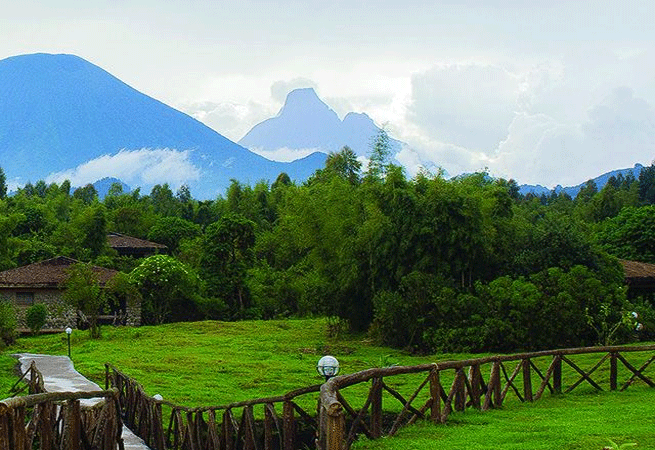 Mountain Gorilla View Lodge