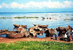 Lake Victoria, Uganda 