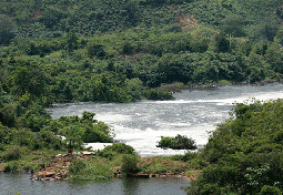 Nile River Bujagali Falls River in Uganda