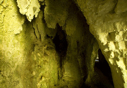  Waitomo Glowworm Caves 
