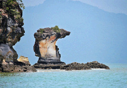 Bako National Park Malaysia