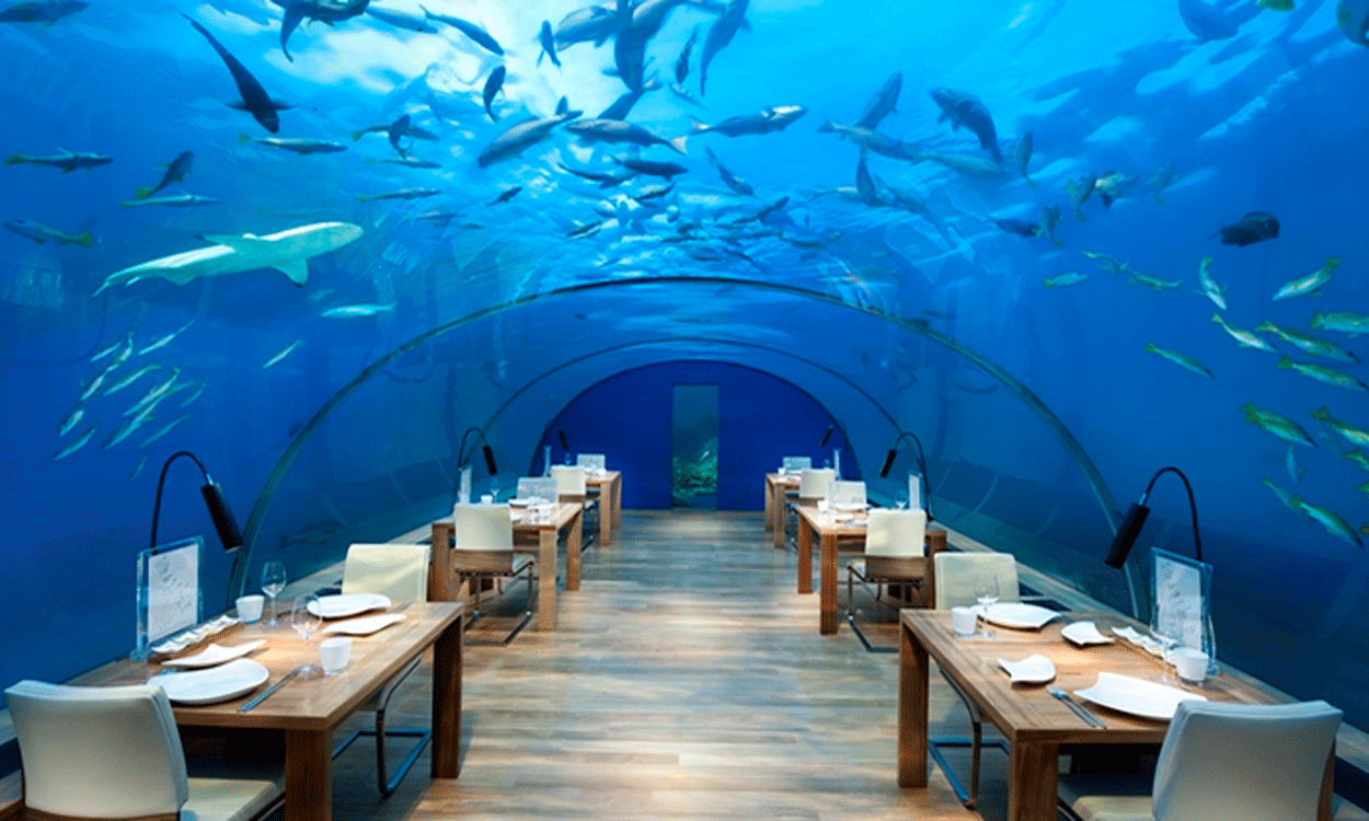 Maldives Fine Dining