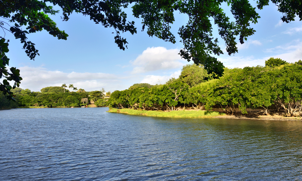 A Little History of Mauritius