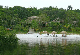 amazon ecopark jungle lodge 