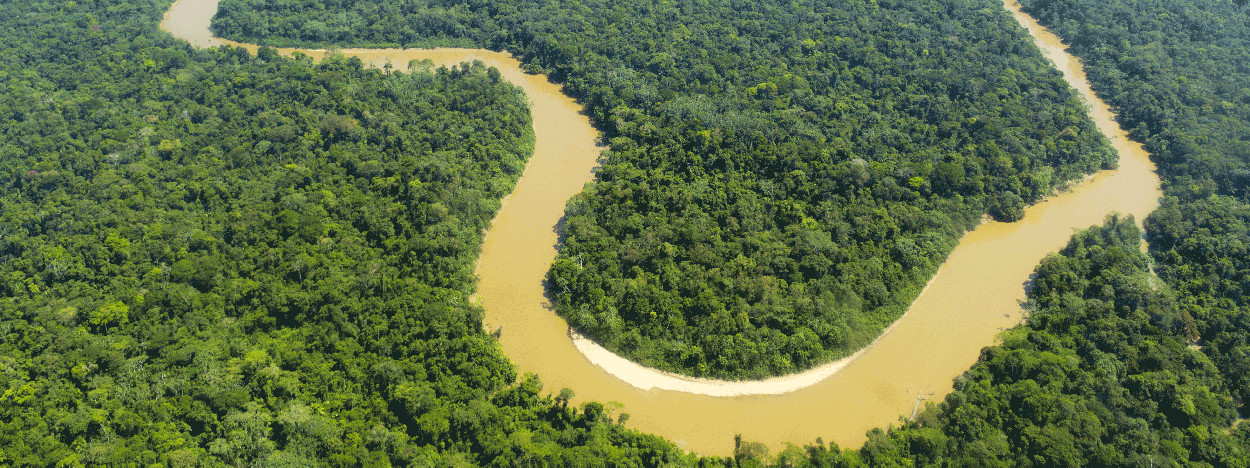 /resource/Images/southamerica/ecuador/headerimage/The-Cononaco-river-in-the-Ecuadorian-Amazon.jpg