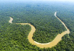 The Cononaco river in the Ecuadorian Amazon