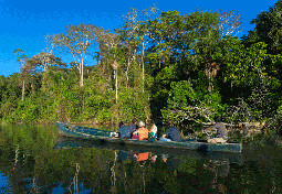 Amazon Basin south of the Madre de Dios River