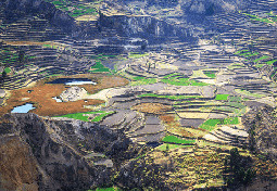 Colca Canyon one of the deepest in the world 