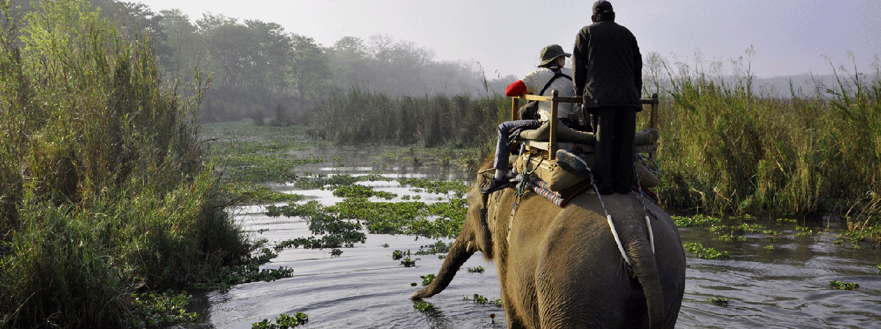 /resource/Images/southernasia/india/headerimage/Elephant-safari-in-Chitwan-National-Park.jpg