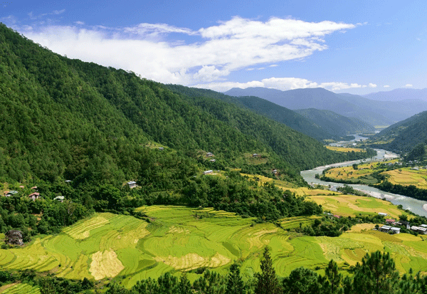 Punakha